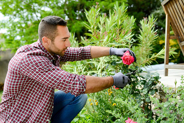 Landscape Gardening South Eastern Suburbs Melbourne