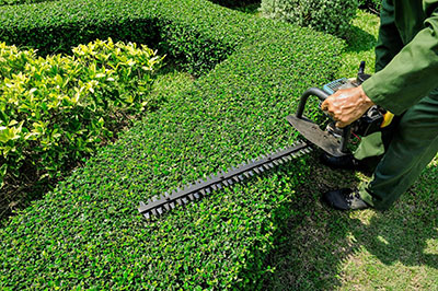 Landscape Design South Eastern Suburbs Melbourne