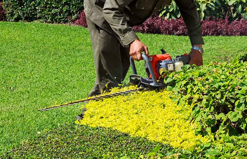 Landscape Gardening  South Eastern Suburbs Melbourne