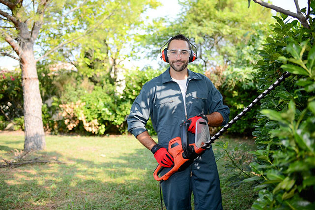 Property Clean Up South Eastern Suburbs Melbourne