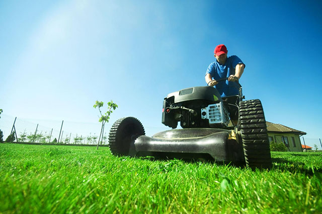 Commercial and Domestic Garden Maintenance South Eastern Suburbs Melbourne