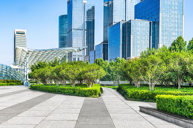 Landscape Design South Eastern Suburbs Melbourne