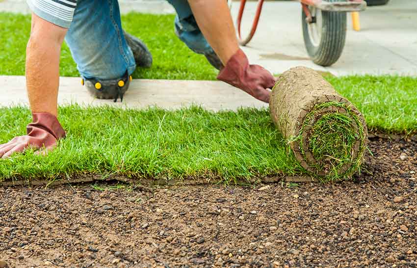 Commercial and Domestic Garden Maintenance South Eastern Suburbs Melbourne