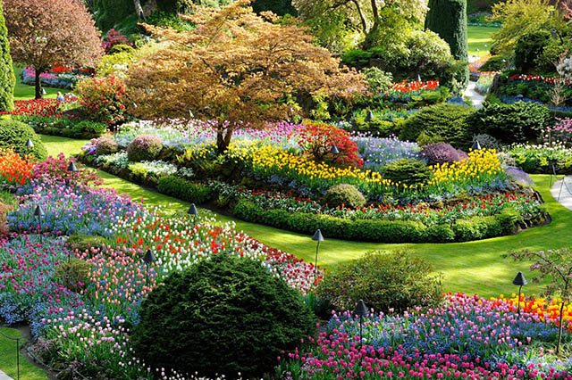 Landscape Design South Eastern Suburbs Melbourne