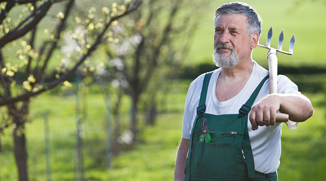 Residential and Commercial Garden Maintenance South Eastern Suburbs Melbourne